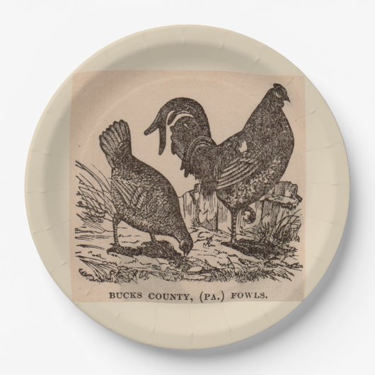 19e eeuw print Bucks County fowls kippen Papieren Bordje (Voorkant)