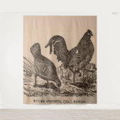 19e eeuw print Bucks County fowls kippen Wandkleed (Voorkant)