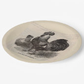 19e eeuw print grijs Engelse dorkings kippen Papieren Bordje (Gekanteld)