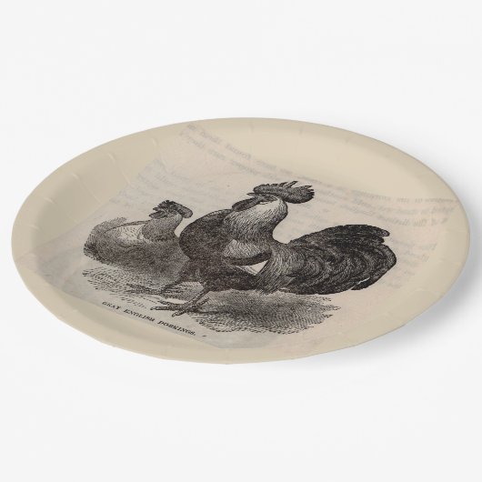 19e eeuw print grijs Engelse dorkings kippen Papieren Bordje (Gekanteld)