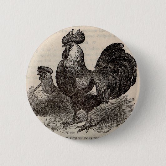 19e eeuw print grijs Engelse dorkings kippen Ronde Button 5,7 Cm (Voorkant)