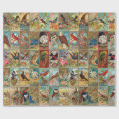 19e eeuw vogels in Amerika Cadeaupapier (Vlak)