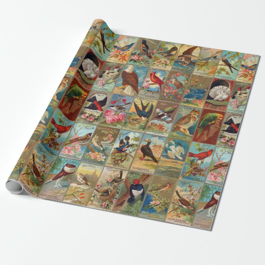 19e eeuw vogels in Amerika Cadeaupapier (Uitgerold)