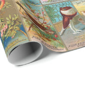 19e eeuw vogels in Amerika Cadeaupapier (Rol Hoek)