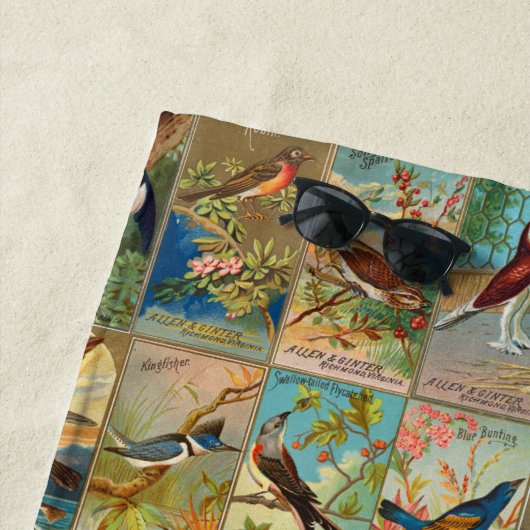 19e eeuw vogels in Amerika Strandlaken (In situ)