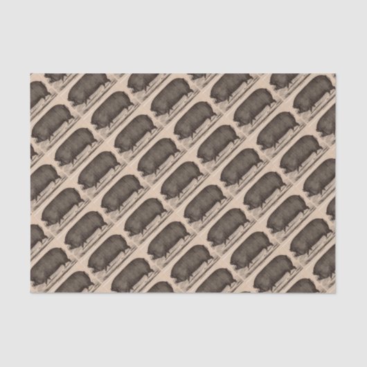 19e-eeuwse boerderij dierenkrans Berkshire zaag nr Tissuepapier (Voorkant)