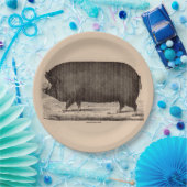 19e-eeuwse boerderij dierlijk drukwerk Berkshire z Papieren Bordje (Feest)