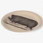 19e-eeuwse boerderij dierlijk drukwerk Berkshire z Papieren Bordje (Gekanteld)