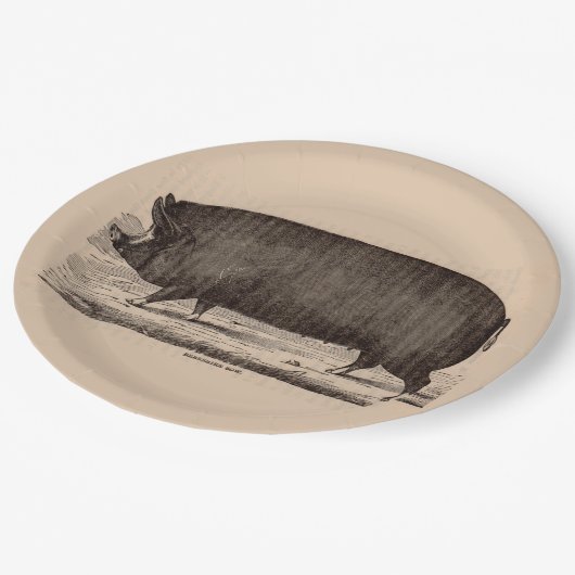 19e-eeuwse boerderij dierlijk drukwerk Berkshire z Papieren Bordje (Gekanteld)