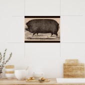 19e-eeuwse boerderij dierlijk drukwerk Berkshire z Poster (Keuken)