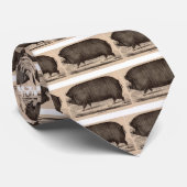 19e-eeuwse boerderij dierlijk drukwerk Berkshire z Stropdas (Opgerold)