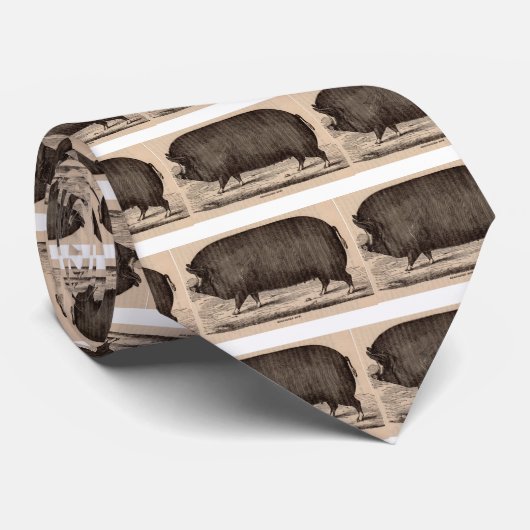 19e-eeuwse boerderij dierlijk drukwerk Berkshire z Stropdas (Opgerold)