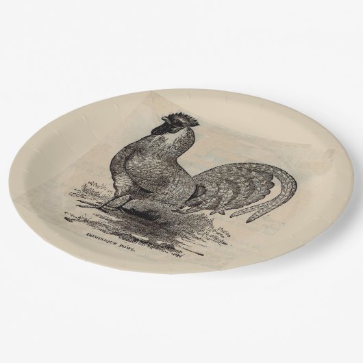 19e eeuwse dominique fowl papieren bordje (Gekanteld)