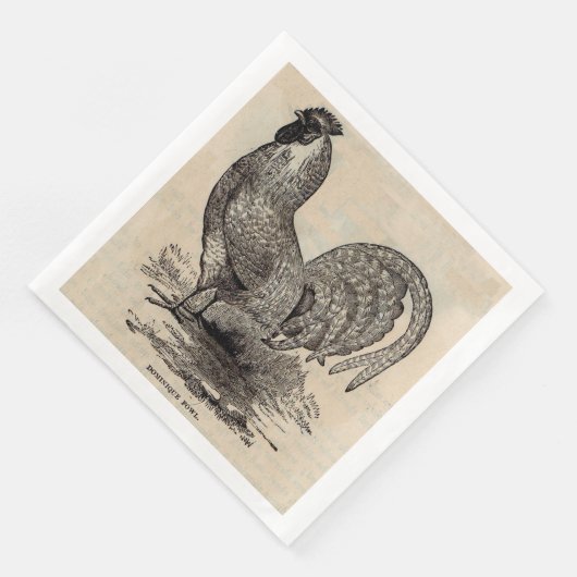 19e eeuwse dominique fowl servetten (Hoek)