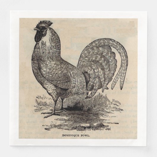 19e eeuwse dominique fowl servetten (Voorkant)