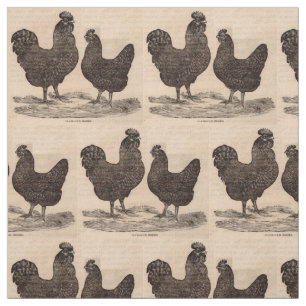 19e-eeuwse drukkerij Plymouth Rock hen en roster Stof