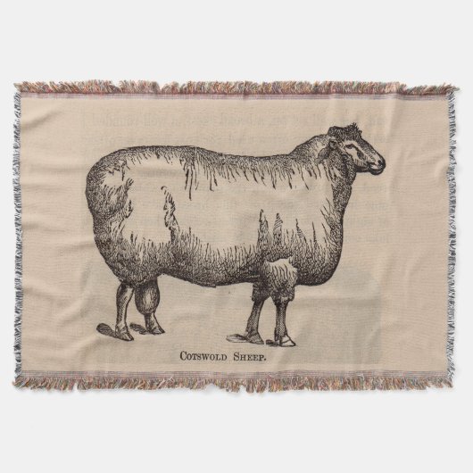 19e-eeuwse gedrukte Cotswold-schapen Deken (Voorkant)