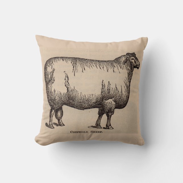 19e-eeuwse gedrukte Cotswold-schapen Kussen (Voorkant)