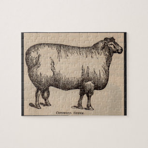 19e-eeuwse gedrukte Cotswold-schapen Legpuzzel