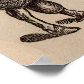 19e-eeuwse gedrukte Cotswold-schapen Poster (Hoek)