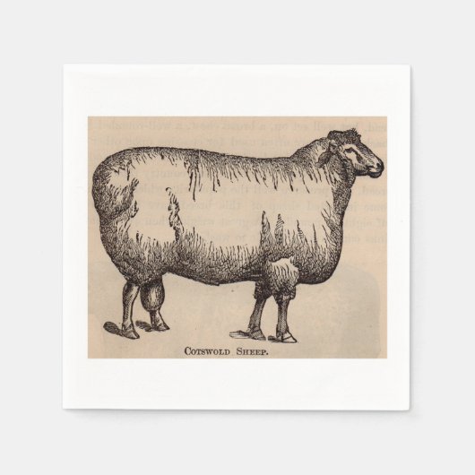 19e-eeuwse gedrukte Cotswold-schapen Servetten (Voorkant)