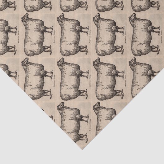 19e-eeuwse gedrukte Cotswold-schapen Tissuepapier (Detail)