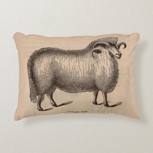19e-eeuwse gedrukte Dorset ram Decoratief Kussen (Voorkant)