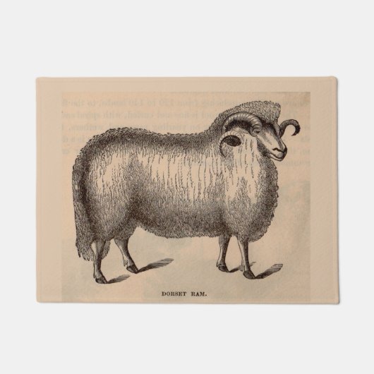 19e-eeuwse gedrukte Dorset ram Deurmat (Voorkant)