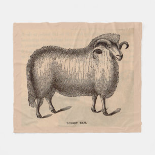 19e-eeuwse gedrukte Dorset ram Fleece Deken
