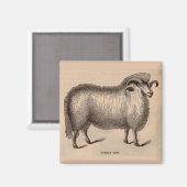 19e-eeuwse gedrukte Dorset ram Magneet (Voorkant / Achterkant)