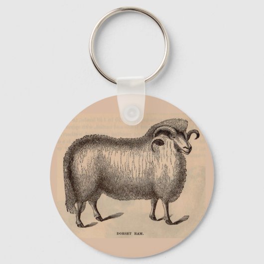 19e-eeuwse gedrukte Dorset ram Sleutelhanger (Voorkant)