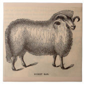 19e-eeuwse gedrukte Dorset ram Tegeltje (Voorkant)