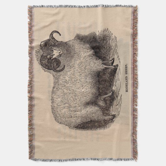 19e-eeuwse gedrukte hooglandschapen deken (Voorkant Verticaal)