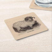 19e-eeuwse gedrukte hooglandschapen kartonnen onderzetters (Schuin)