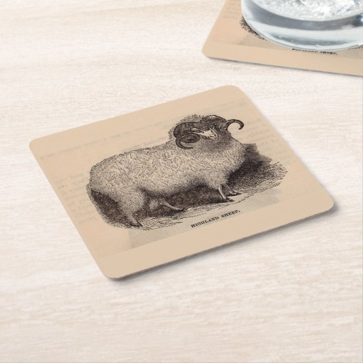 19e-eeuwse gedrukte hooglandschapen kartonnen onderzetters (Schuin)