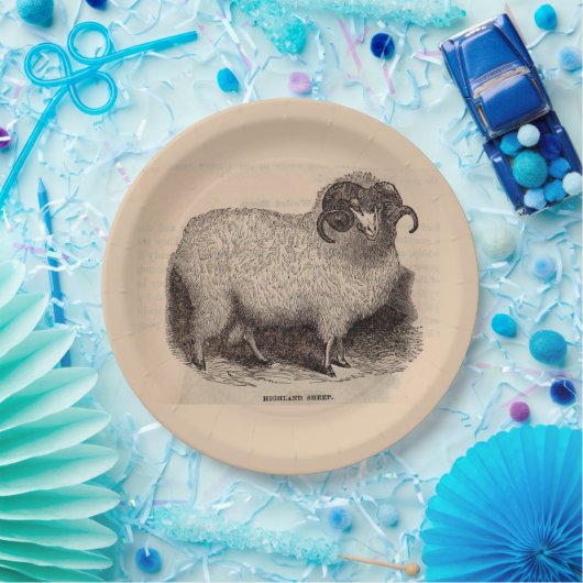 19e-eeuwse gedrukte hooglandschapen papieren bordje (Feest)