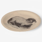 19e-eeuwse gedrukte hooglandschapen papieren bordje (Gekanteld)