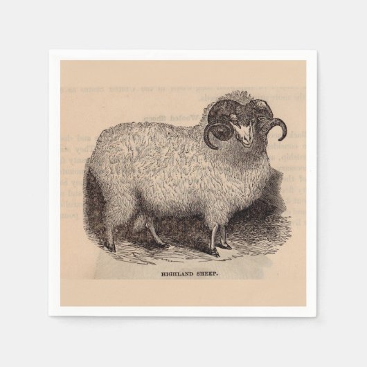 19e-eeuwse gedrukte hooglandschapen servetten (Voorkant)