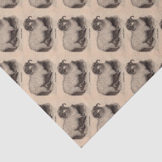 19e-eeuwse gedrukte hooglandschapen tissuepapier (Detail)