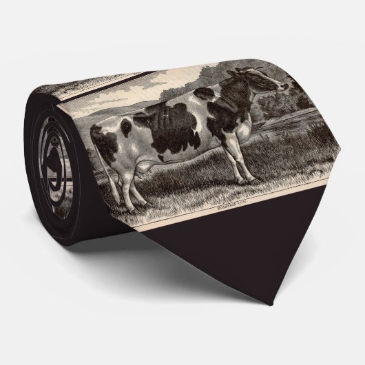 19e-eeuwse Holstein koe print Stropdas (Opgerold)