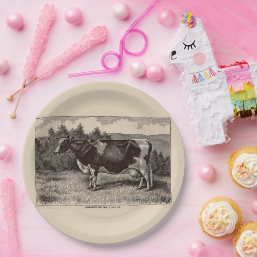 19e-eeuwse krant Holstein heifer Papieren Bordje (Feest)