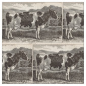19e-eeuwse krant Holstein heifer Stof (Close Up)