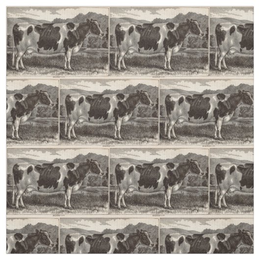 19e-eeuwse krant Holstein heifer Stof (Swatch)
