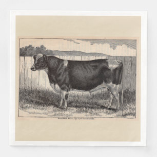 19e-eeuwse prent Holstein-stier Servet