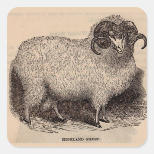 19e-eeuwse prent Hooglandschapen Vierkante Sticker