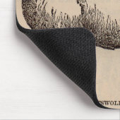 19e-eeuwse print Cotswold schaap Muismat (Hoek)