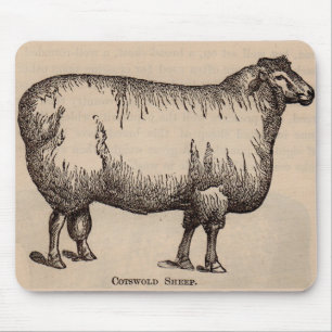 19e-eeuwse print Cotswold schaap Muismat