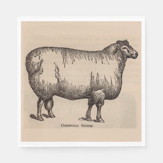 19e-eeuwse print Cotswold schaap Servetten (Voorkant)