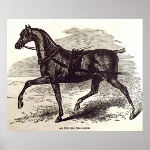 19e-eeuwse print Een Engels Roadster paard