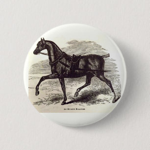 19e-eeuwse print Een Engels Roadster paard Ronde Button 5,7 Cm